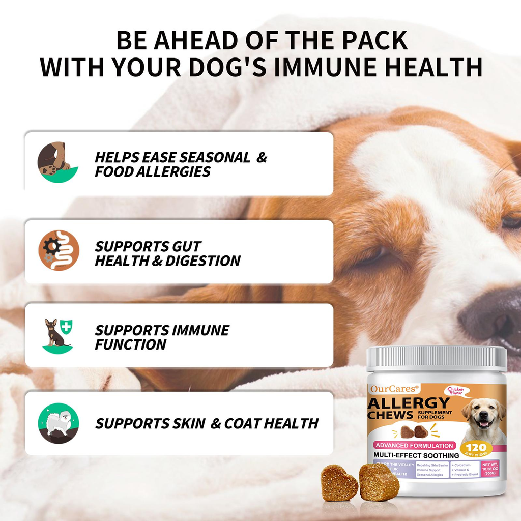 OurCares Dog Allergy Relief Chews - Support Seasonal Allergies, Gut & Digestive Health With Colostrum Vitamin C Probiotic - Chicken Flavor - 120 Soft Chews